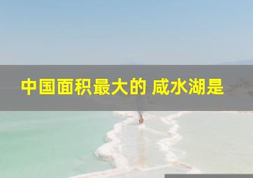 中国面积最大的 咸水湖是